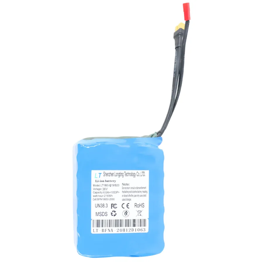 Windgoo & Moovway/Gyroboarder B19, B20 , B20 Pro Accu Windgoo & Moovway/Gyroboarder B19, B20 , B20 Pro Accu