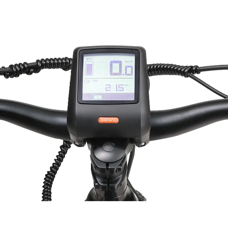 Ape Ryder Buffalo-M Electric Mountain bike - Middle motor 250W / 36V / 15AH / 27.5Inch