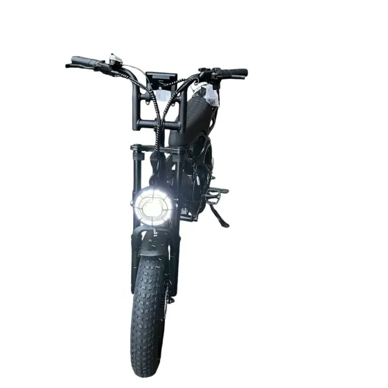 V20 Fatbike 20 inch / 48V /15Ah / 250W