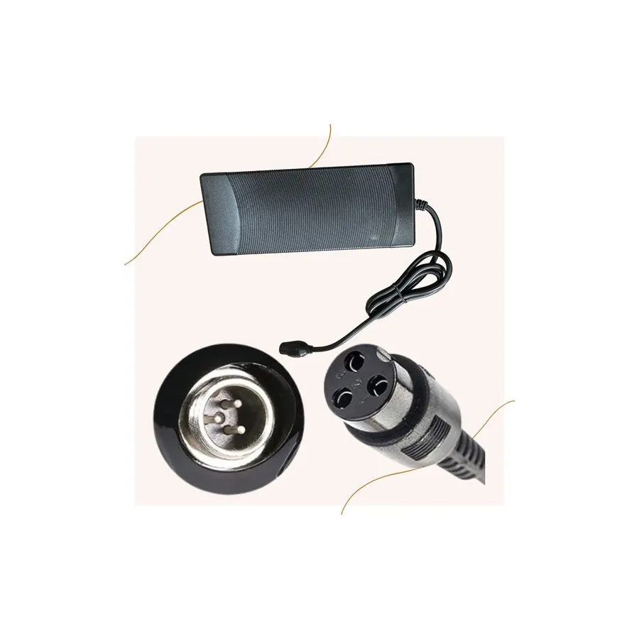 Fatbike charger V20 Fatbike charger V20