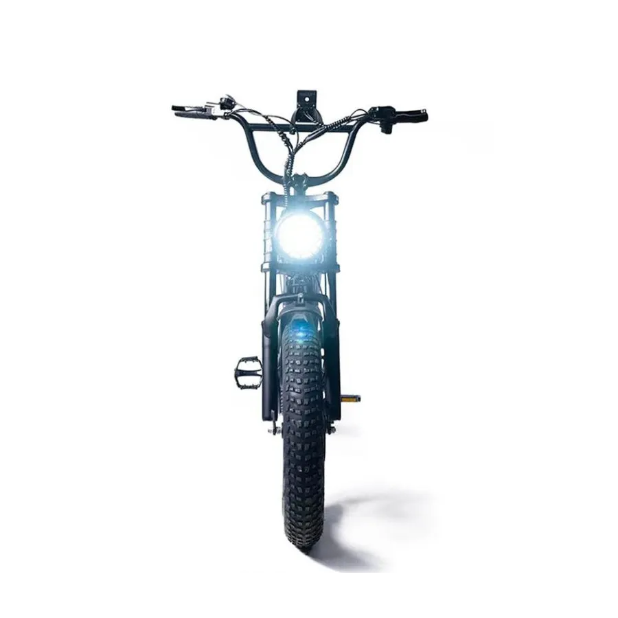 Fatbike H9 20 Inch – Lightweight & Powerful Electric Fatbike