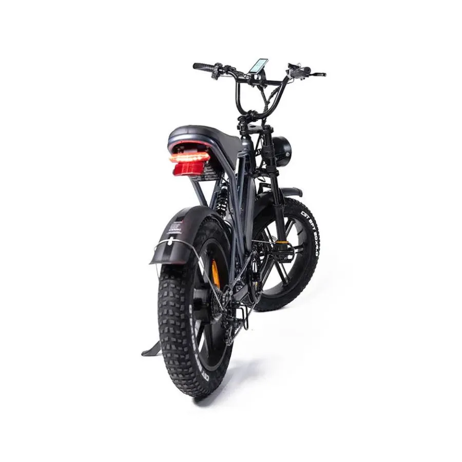 Fatbike H9 20 Inch – Lichtgewicht & Krachtige Elektrische Fatbike