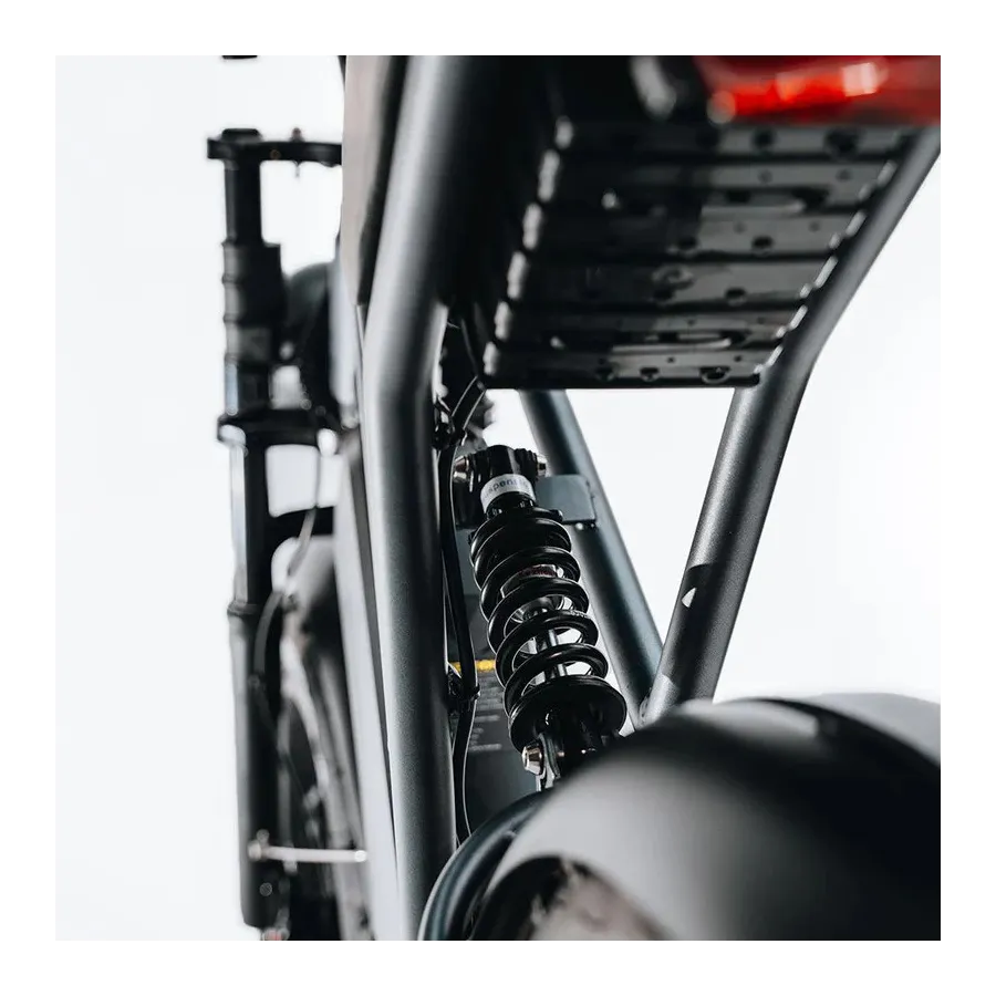 Fatbike H9 20 Inch – Lightweight & Powerful Electric Fatbike