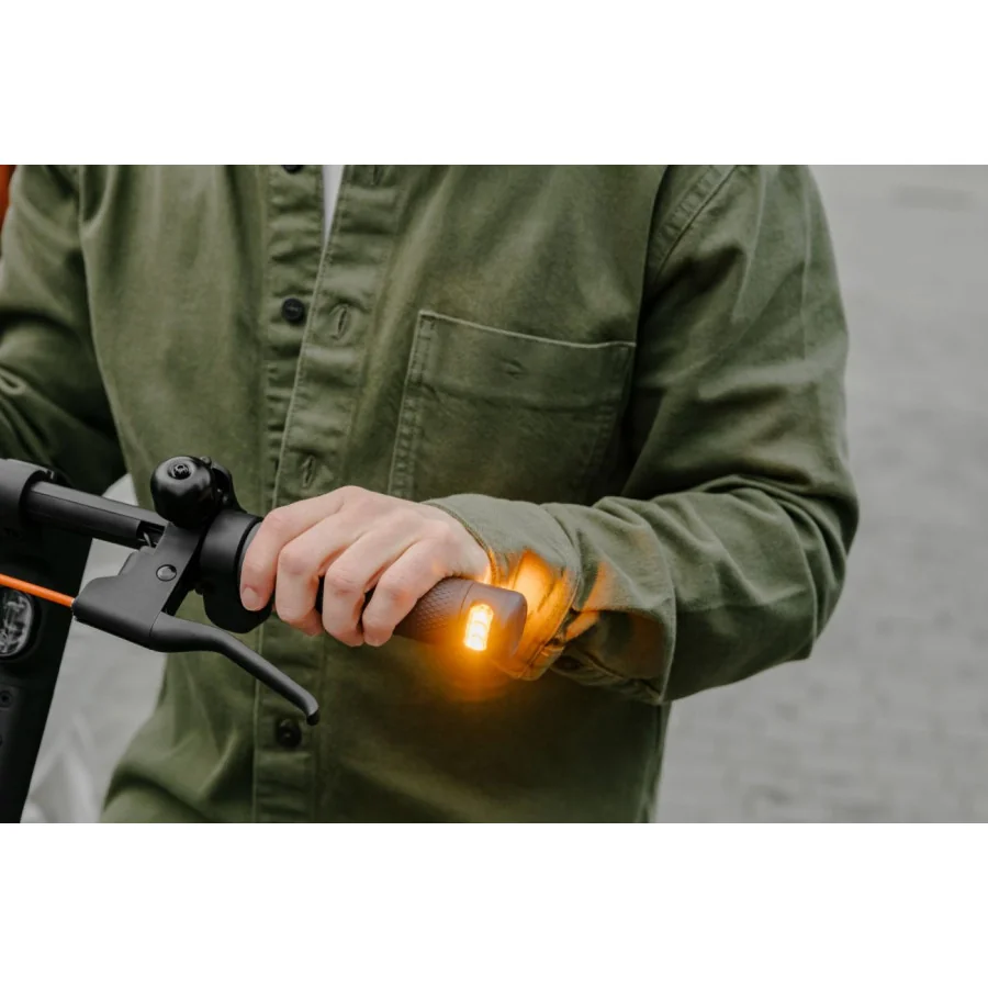 Segway Ninebot KickScooter F2 Pro E