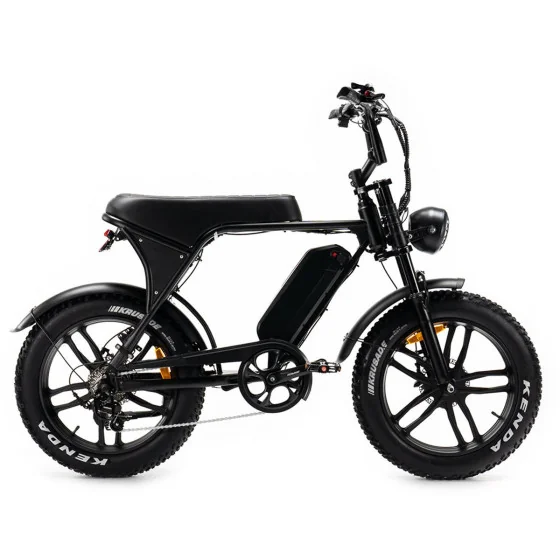 C80 Mini Fatbike Elektrische Fiets
